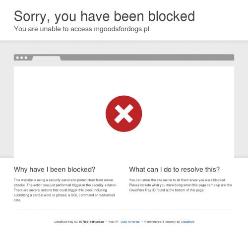 Kamizelka do treningu z psem